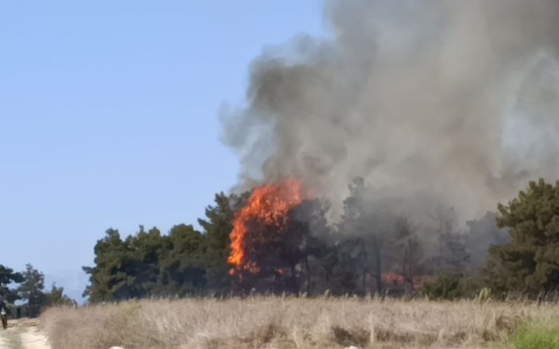 Manavgat’ta arazide başlayan yangın ormanlık alana sıçradı
