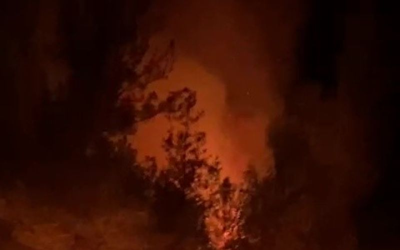 Gazipaşa’da ormanlık alanda yangın
