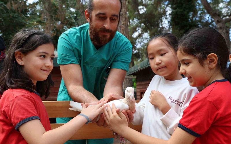 Çocuklar tedavisi tamamlanan güvercinleri doğaya saldı
