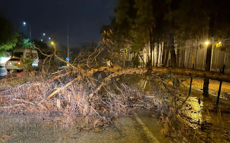 Alanya Belediyesi olumsuz hava şartlarına karşı teyakkuzda

