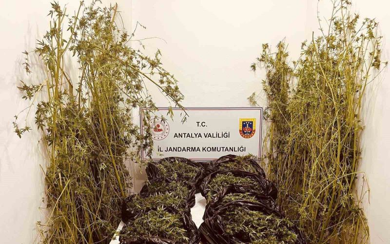 Antalya’da 53 kilo uyuşturucu ele geçirildi
 Antalya’da 53 kilo uyuşturucu ele geçirildi