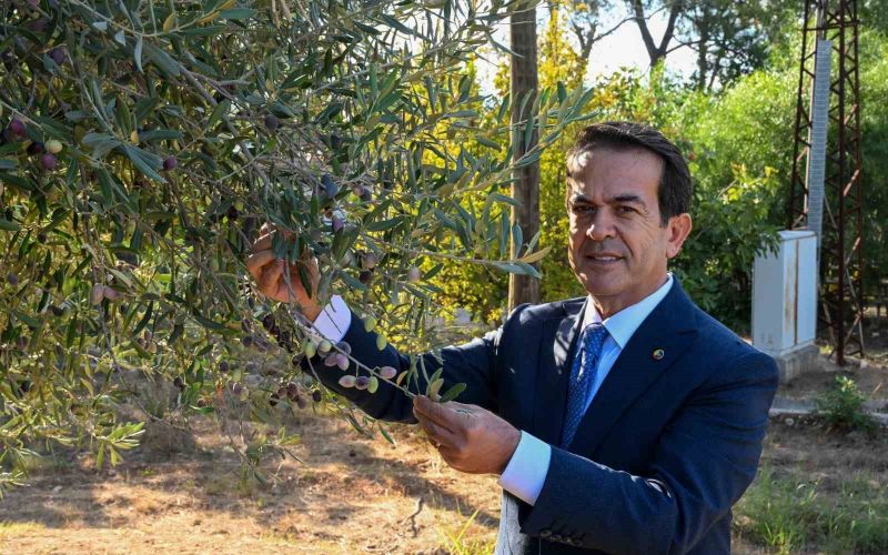 Antalya’nın sıvı altını yarışacak
