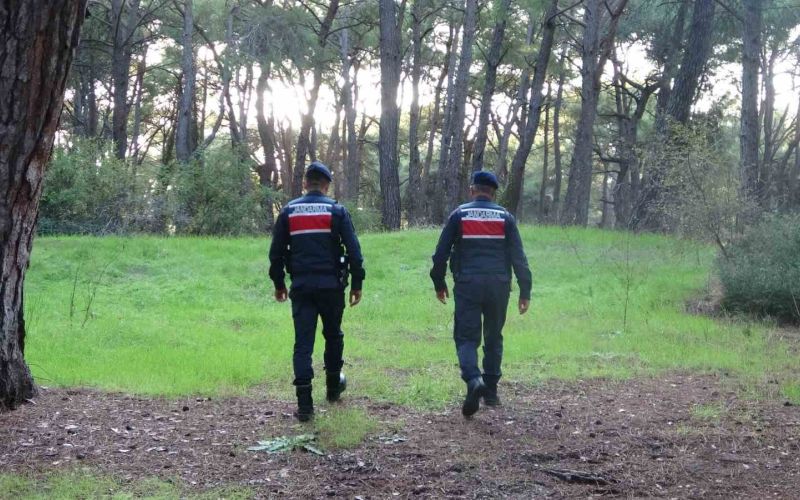 Jandarmadan ormanlık alanlarda kangal ve ateş nöbeti
