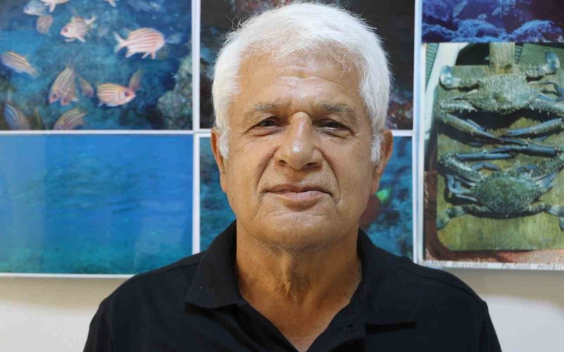 Amatör kıyı balıkçısının oltasına köpek balığı takıldı
