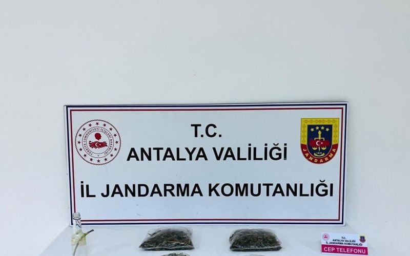 Serik’te uyuşturucu operasyonu
