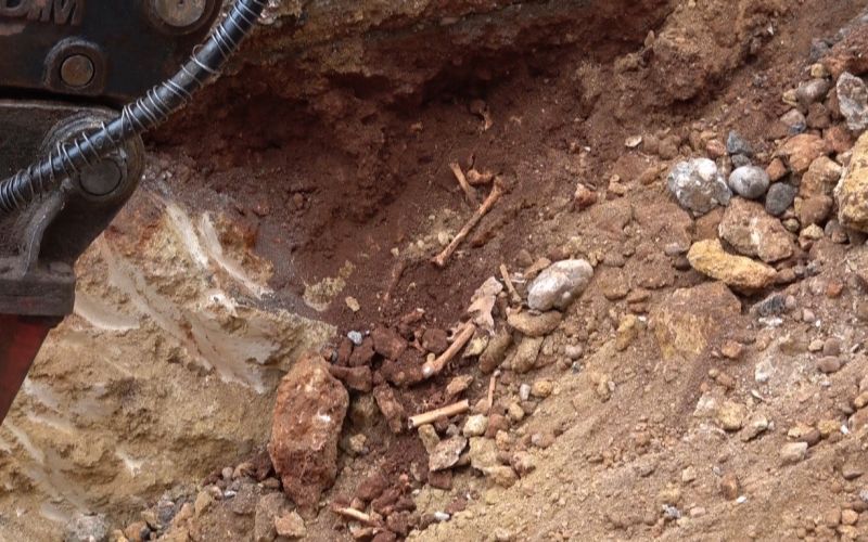 Antalya’da belediye kazısında kemik parçaları bulundu
