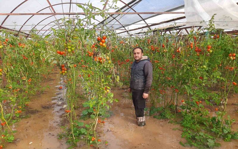 Kumluca’da hortum seraları parçaladı
