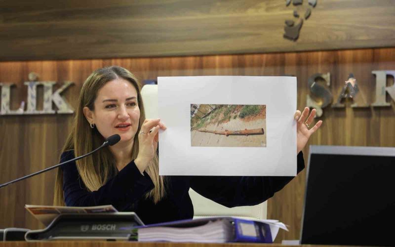 Başkan Vekili Özdemir: 