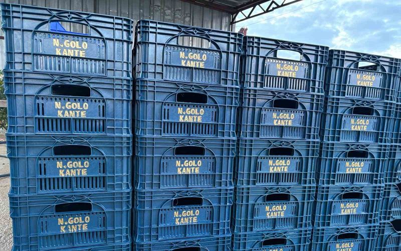 Fanatik üreticinin ‘Kante’ sevgisi: Domatesleri topladığı kasaya bile onun adını yazdırdı
