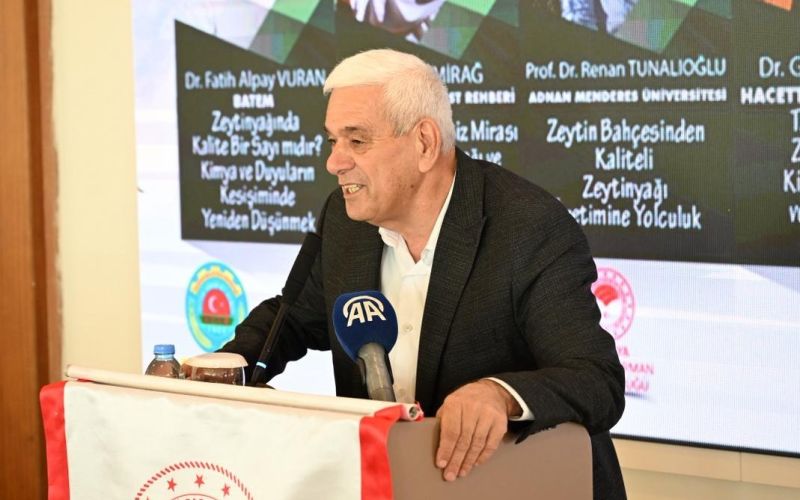Antalya’da zeytinlik alan 20 yılda 2 katına çıktı
