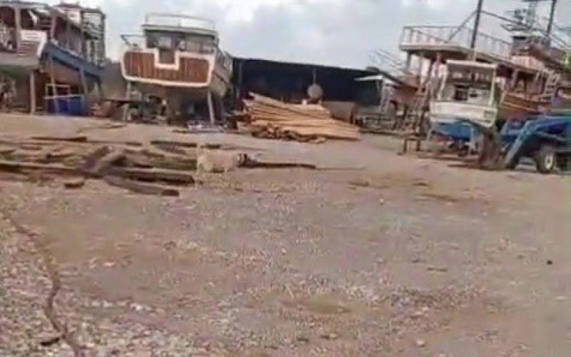 Köpeği av tüfeğiyle öldürdü, gözaltına alındı
