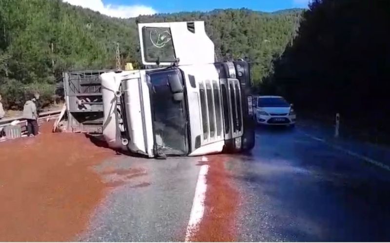 Peyzaj malzemesi yüklü tır devrildi
