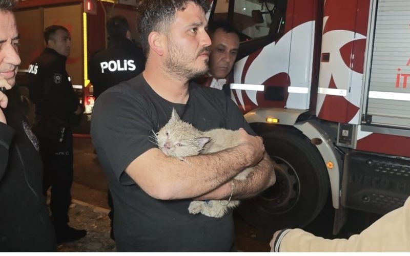 Korkutan yangında mahsur kalan kediyi itfaiye kurtardı
