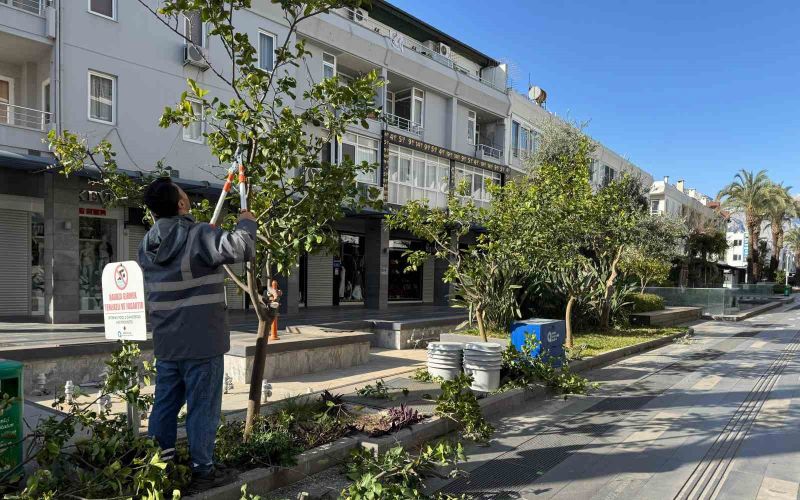 Büyükşehir’den Kemer’de peyzaj düzenlenesi
