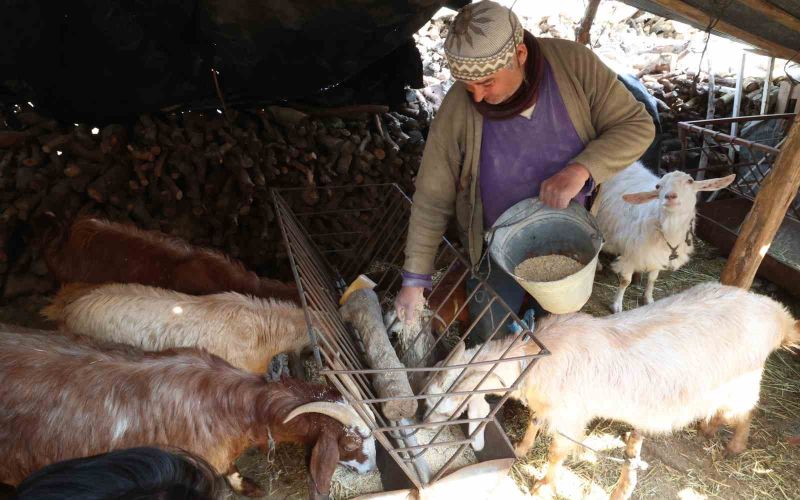 Korkuteli’nde yem ezme ve kırma makinesi üreticiye kolaylık sağlıyor
