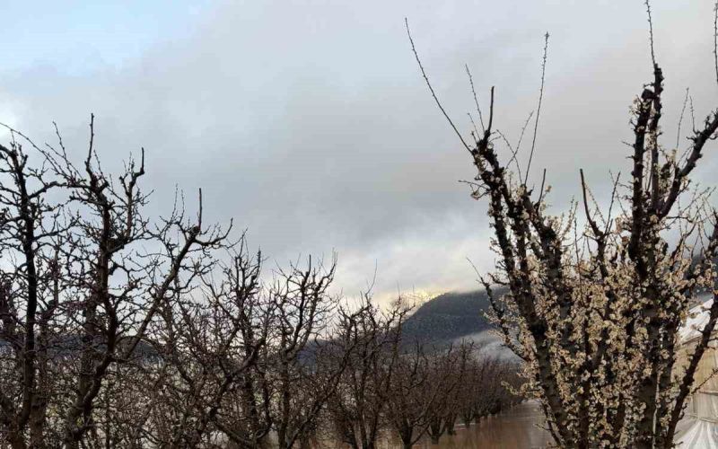 Elmalı’da dereler taştı, tarım alanları sular altında kaldı
