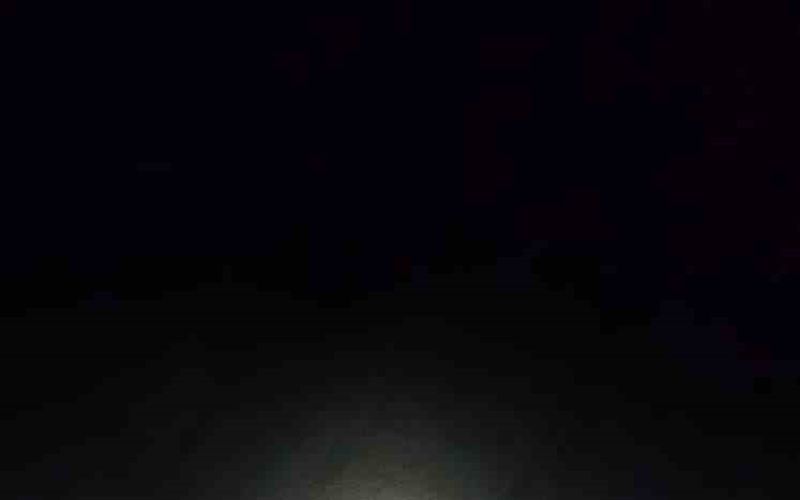 Antalya’da sahilde dev caretta caretta ölü bulundu
