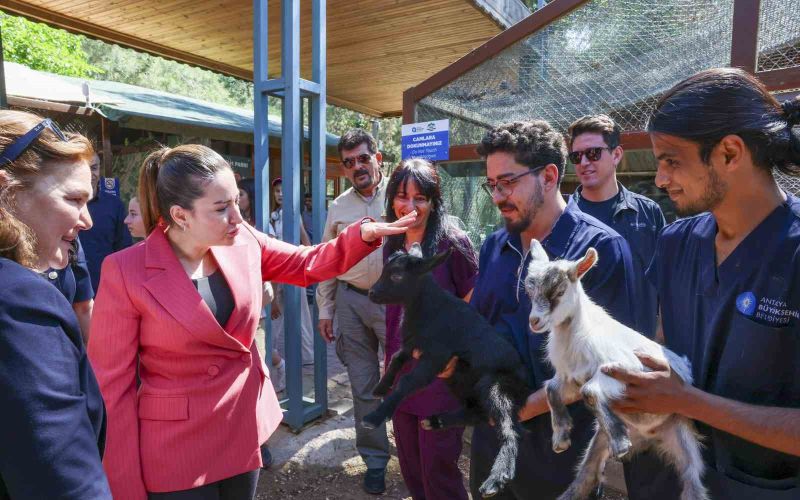 Başkan Vekili Büşra Özdemir: 