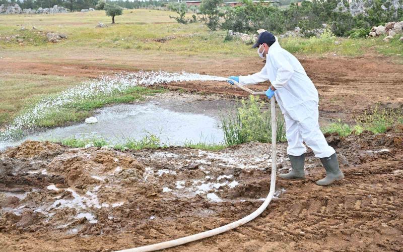 Büyükşehir’den kurban satış alanlarında ilaçlama

