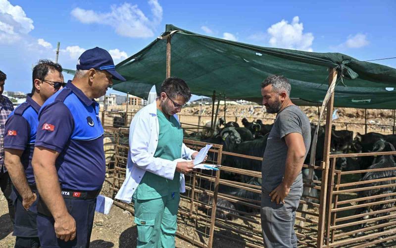 Muratpaşa’da Kurban Bayramı hazırlıkları tamamlandı
