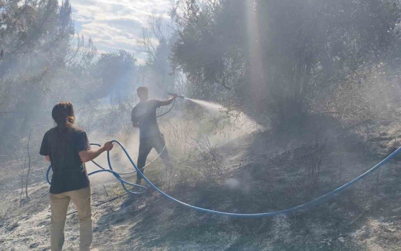 Antalya’da ormanlık alanda yangın
