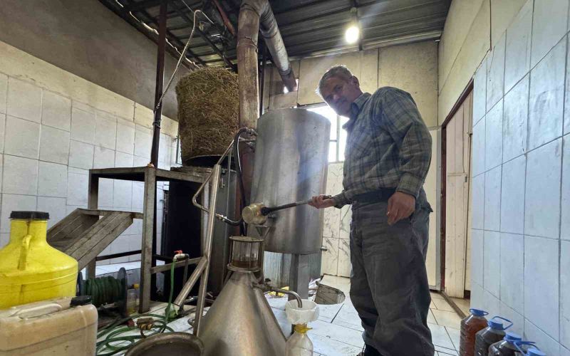 Toroslar’da yetişen 31 farklı bitkinin yağını çıkartıp ülkenin dört bir yanına gönderiyor
