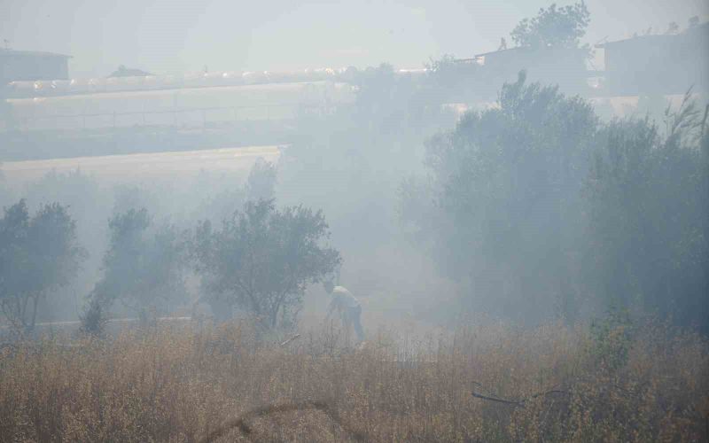 Antalya’da sera ve evleri tehdit eden yangın mahalleliyi korkuttu
