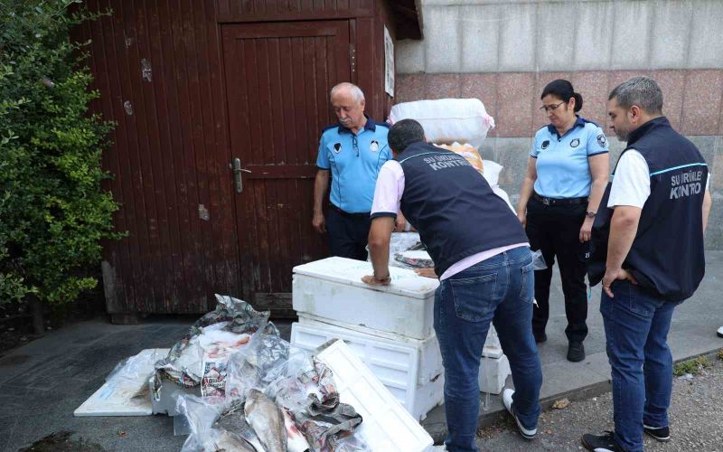 Antalya Otogarı’nda balık operasyonu: 260 kilo ele geçirildi
