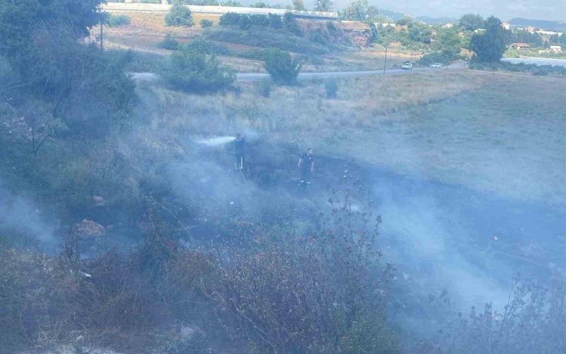 Otluk alanda çıkan yangın seralara sıçramadan söndürüldü
