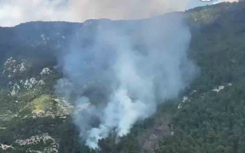 Antalya’da 5 farklı noktada çıkan yangınlar kontrol altına alındı

