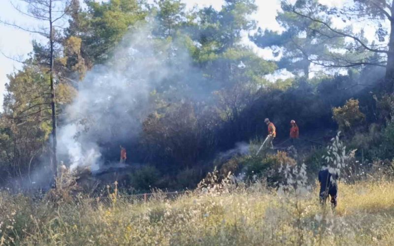 Spiral makinesinden çıkan kıvılcımlar ormanın yanmasına neden oldu: 1 gözaltı
