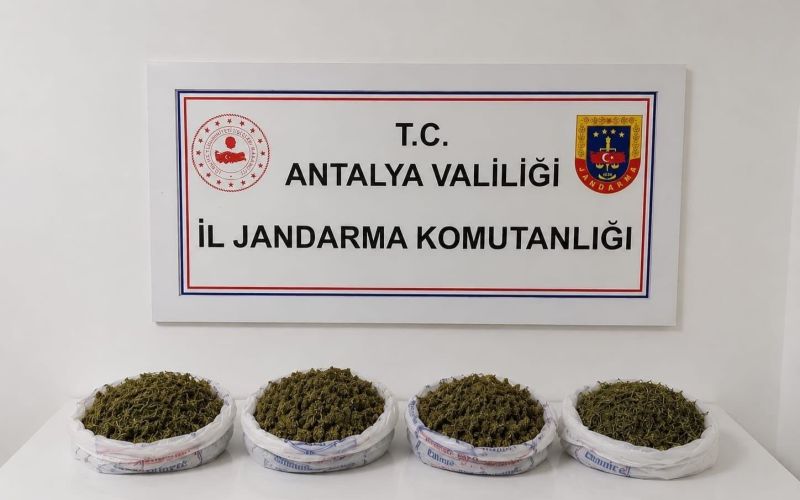 Evde yapılan aramada 1 kilo 979 gram kubar esrar ele geçirildi
