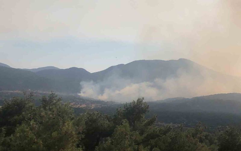 Antalya’daki orman yangınına müdahale sürüyor
