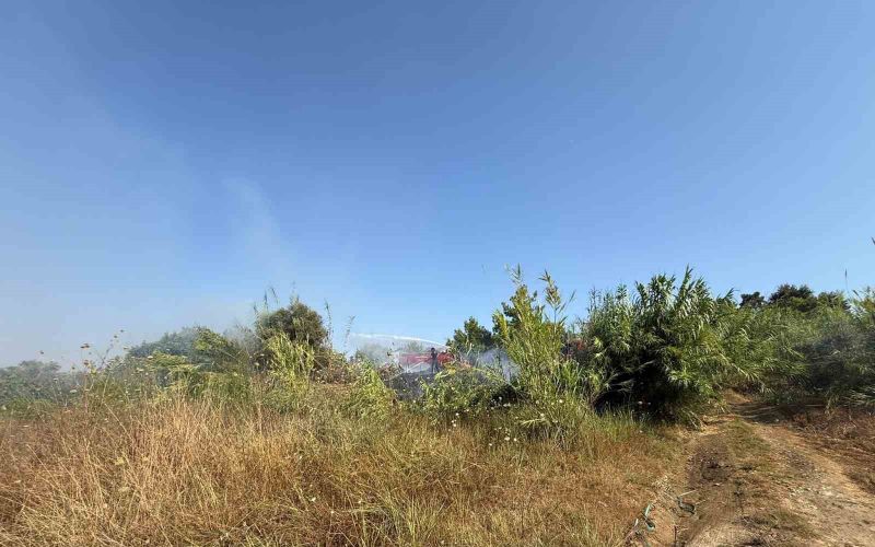 Manavgat’ta kamışlık alanda çıkan yangın söndürüldü
