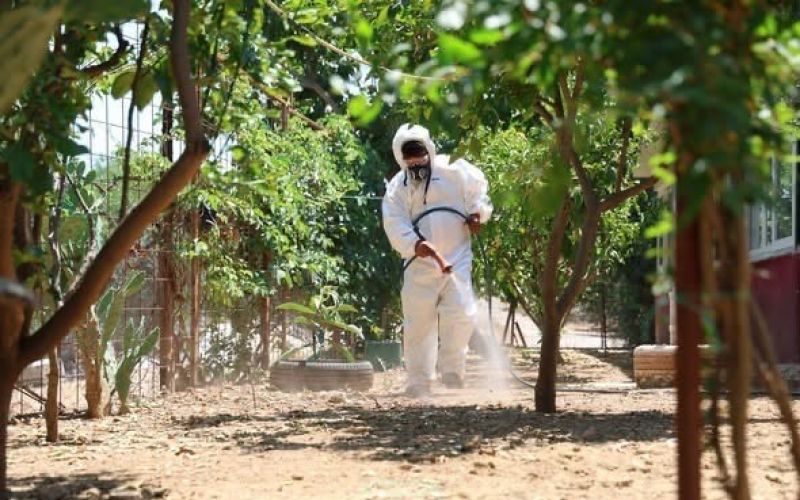 Aksu Belediyesi’nden kene ihbarlarına müdahale
