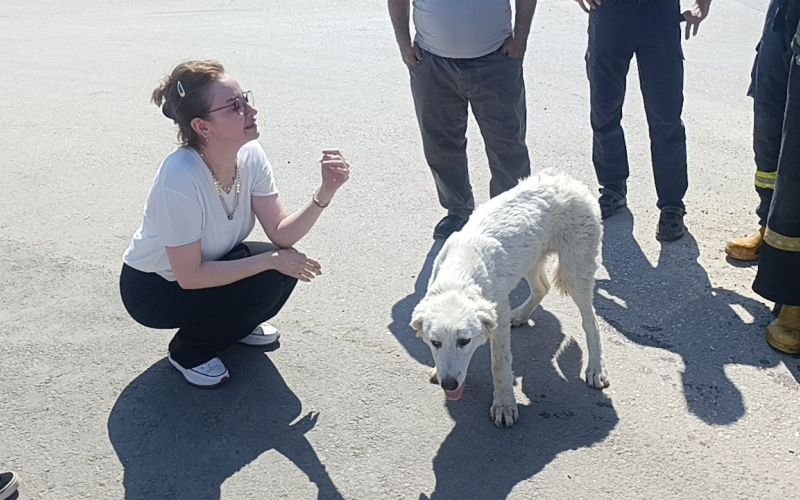 Mahsur kalan köpeğin sesini sadece o duydu, kurtarıldığında gözyaşlarına boğuldu

