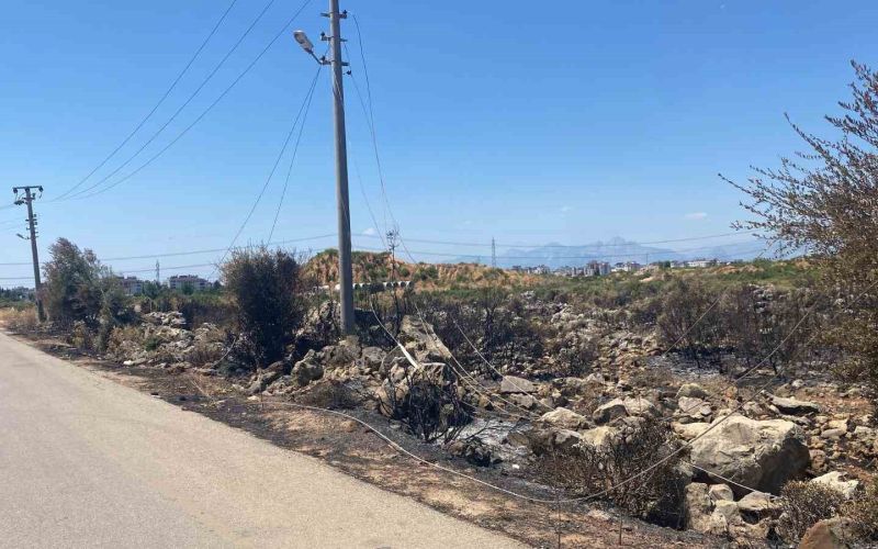 Kaçak moloz döktü, elektrik tellerini kopardı, yangına neden oldu
