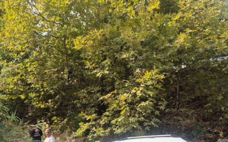Alanya’da araç şarampole yuvarlandı: 3 yaralı
