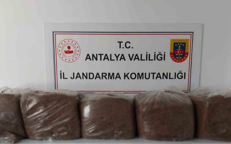 Alanya ve Demre’de 285 kilo kaçak tütün ele geçirildi
