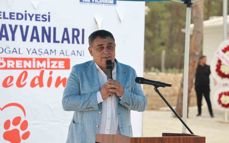 Antalya’nın en büyük Sokak Hayvanları Bakımevi ve Doğal Yaşam alanı Aksu’da açıldı
