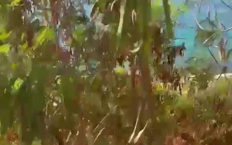 Kaş’ta denize atık su karışmasına 839 bin lira ceza
