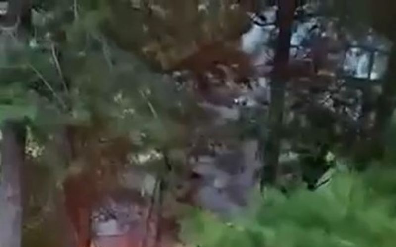 Alanya’da yıldırımın düşmesiyle yangın çıktı: 1 dönüm alan zarar gördü
