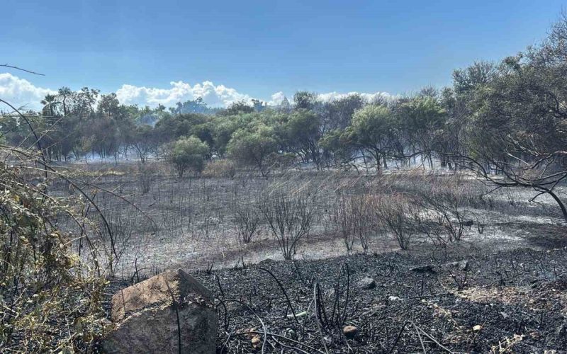 Manavgat’ta boğaz mendirek yolunda korkutan yangın
