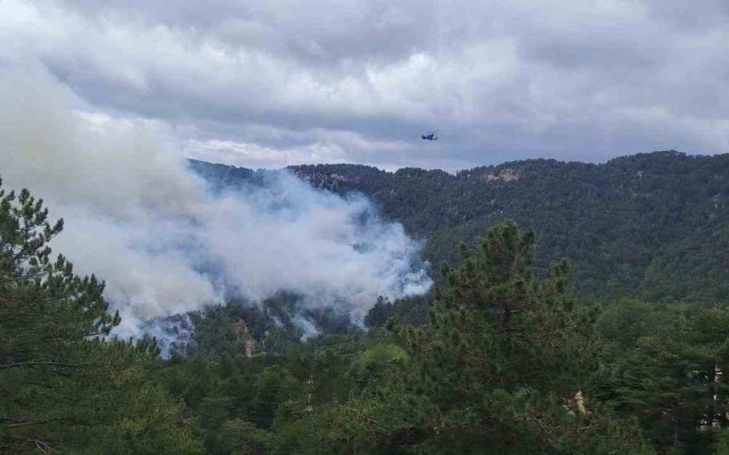 Beşkonak’ta orman yangını: Havadan ve karadan müdahale ediliyor
