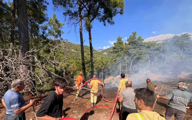 Beşkonak’ta kopan enerji nakil hattı orman yangınına neden oldu
