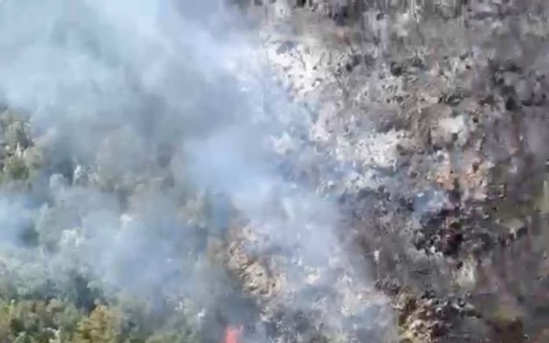 Antalya’da ormanlık alanda yangın
