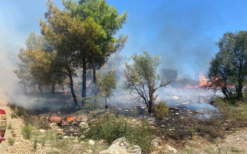 Antalya’da  zirai alanda çıkan yangın büyümeden söndürüldü
