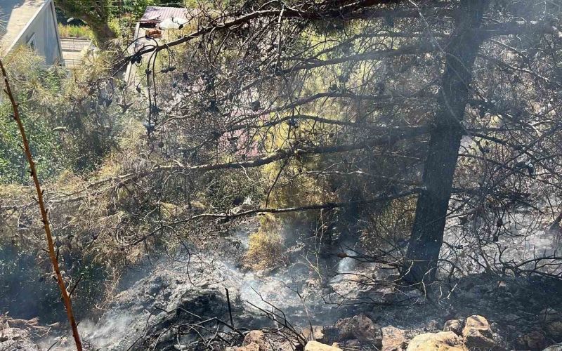 Alanya’da çalılık alanda çıkan yangın söndürüldü
