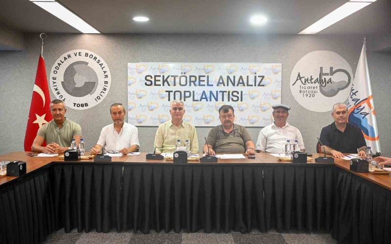 Zeytinde rekolte beklentisi yüzde 40 arttı
