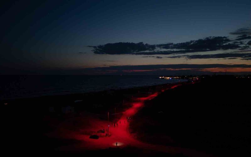 Carettalar için deniz yoluna LED ışık döşendi
